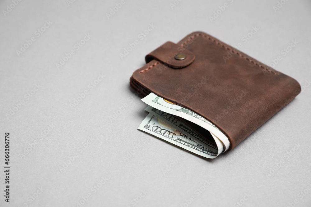 Stylish brown leather wallet with dollar banknotes on light grey background. Space for text Stylish brown leather wallet with dollar banknotes on light grey background. Space for text