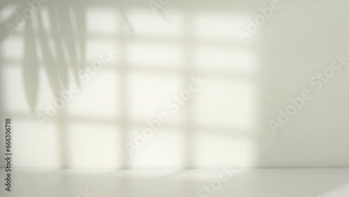 minimalist room with window shadow background