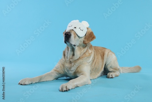 Cute Labrador Retriever with sleep mask resting on light blue background