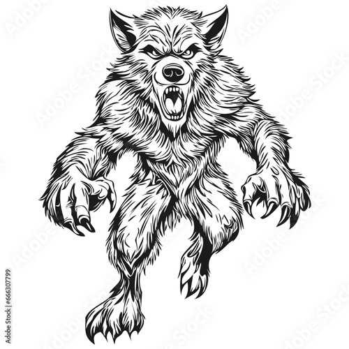 Eerie Vector Transformation