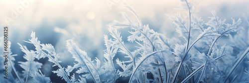 FROZEN GRASS COVERED WITH FROST, CLOSE-UP, MACRO, HORIZONTAL IMAGE. image created by legal AI © PETR BABKIN