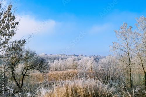 Landscape at sunny day with frost on trees in suburb. Southwestern district of Belgorod.