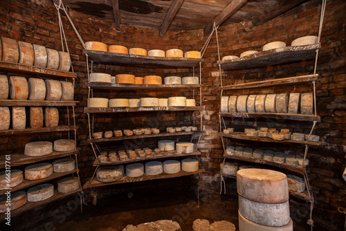 Cheese in ripening cellar on familiar industry.