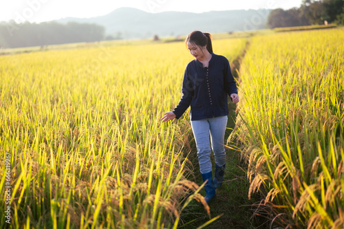 Young Asian farmer woman walks and looks at her rice field after planting rice at sunset. © waragron