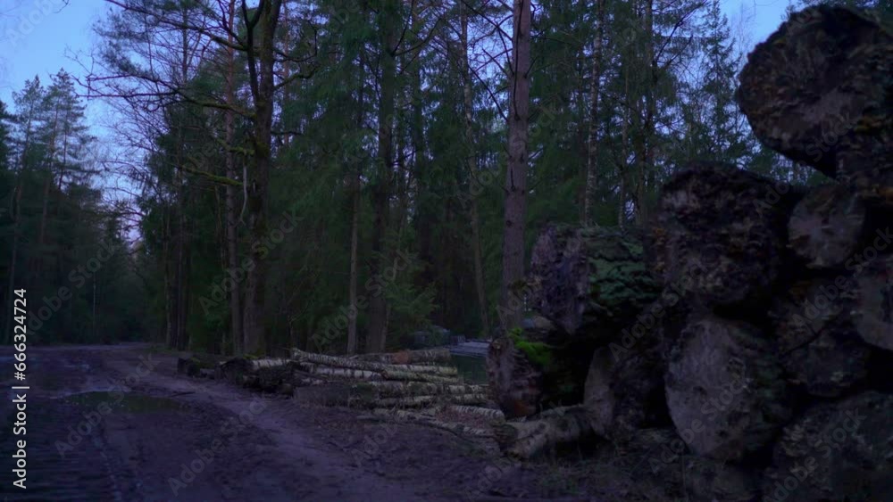 Nato leopard tank hidden in the bushes and chopped wood during early morning