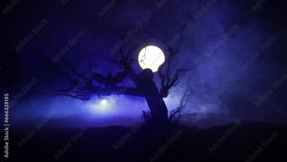 Silhouette of scary Halloween tree on dark foggy toned background with moon on back side. Scary horror winter dead forest at night. selective focus Silhouette of scary Halloween tree on dark foggy toned background with moon on back side. Scary horror winter dead forest at night. selective focus