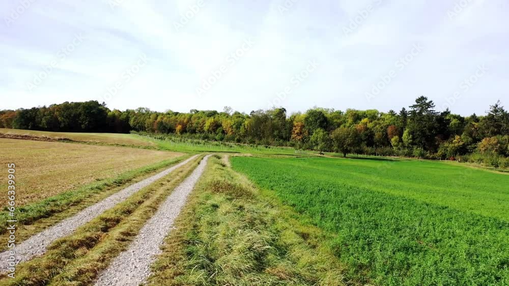 Drone video of Rothenburg ob der Tauber with a view of the Wedding Forest. Rothenburg ob der Tauber, Ansbach, Middle Franconia, Bavaria, Germany, Europe Drone video of Rothenburg ob der Tauber with a view of the Wedding Forest. Rothenburg ob der Tauber, Ansbach, Middle Franconia, Bavaria, Germany, Europe