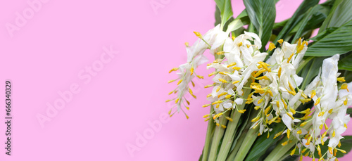 Fototapeta Naklejka Na Ścianę i Meble -  White yellow globba flower bouquet
