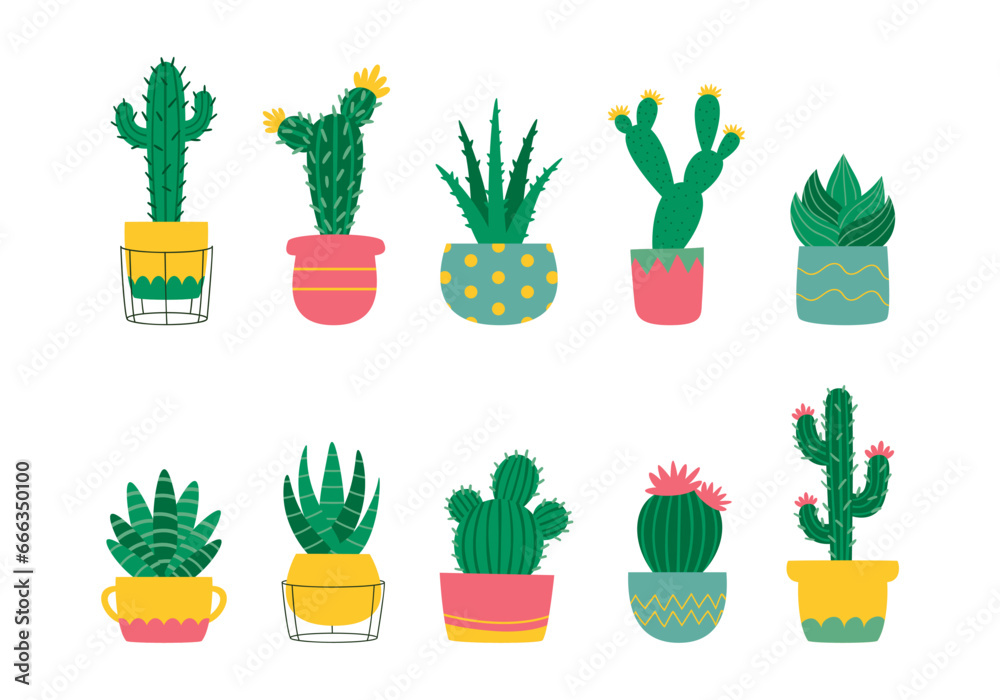 Cute Cartoon Cactus Illustration Set Cute Cartoon Cactus Illustration Set