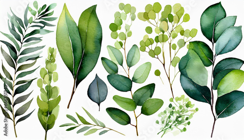 Green clipart leaves  eucalyptus leaves and forest herbs  watercolor clipart