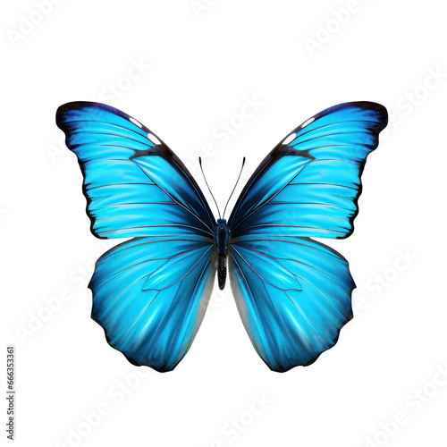 Blue butterfly isolated on transparent background,transparency  © SaraY Studio 