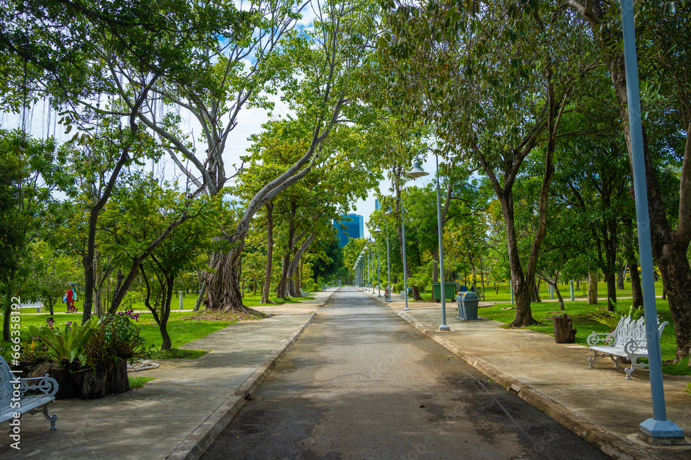 Asplalt running walk way in city public park with green tree forest and office building