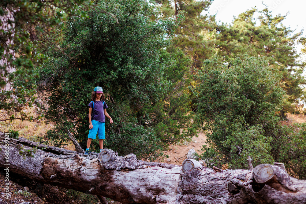 boy walks on top of a fallen tree in the forest. Children's leisure, a happy child climbs a tree and has fun.