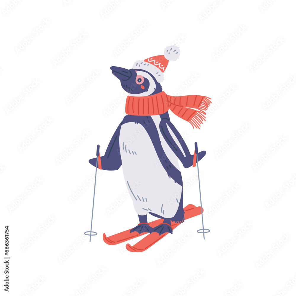 Obraz premium Cute penguin wearing scarf and skiing, vector illustration isolated on white.