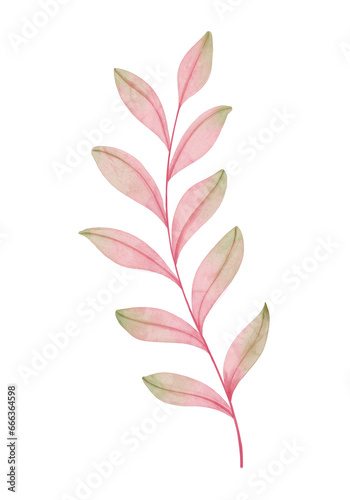 Pink Watercolor Leaves