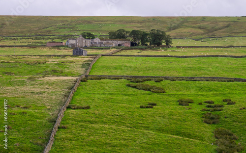 looking out over walled pastures in the North Pennines Area of Outstanding Natural Beauty (ANOB), near Stanhope, Durham, UK photo