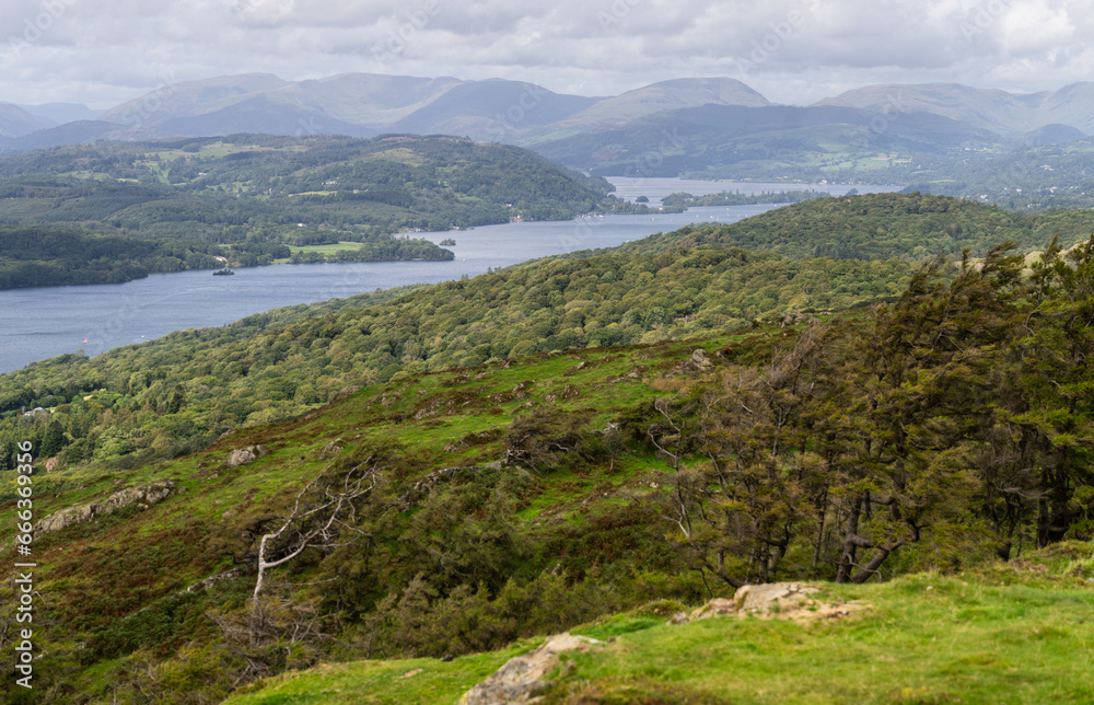 view of Lake Windermere towards Bowness-on-Windermere, from Gunner's How, Lake District, Cumbria, UK