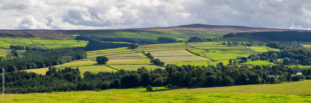 Obraz premium looking out over walled pastures, in the North Pennines Area of Outstanding Natural Beauty (ANOB), near Stanhope, Durham, UK