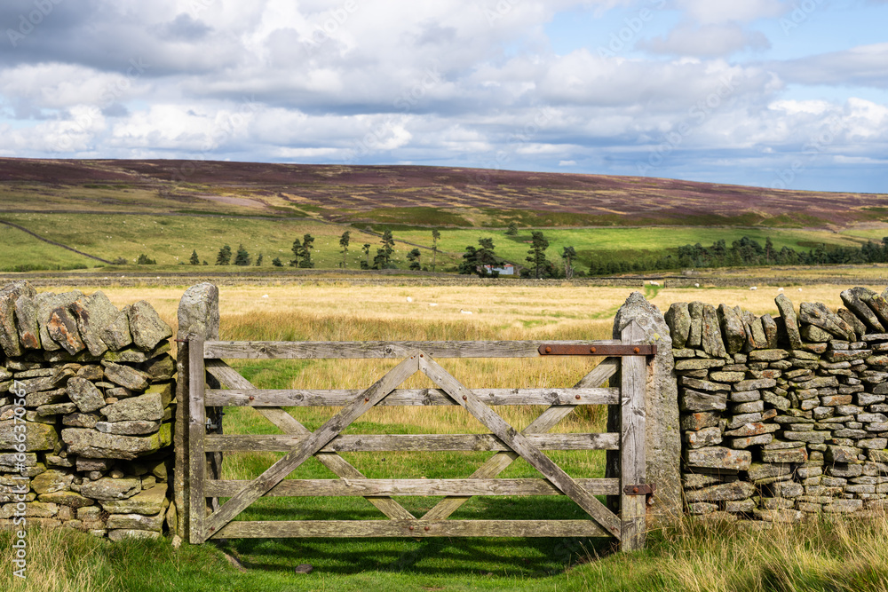 looking out over walled pastures and heather moors, in the North Pennines Area of Outstanding Natural Beauty (ANOB), near Blanchland, Durham, UK looking out over walled pastures and heather moors, in the North Pennines Area of Outstanding Natural Beauty (ANOB), near Blanchland, Durham, UK