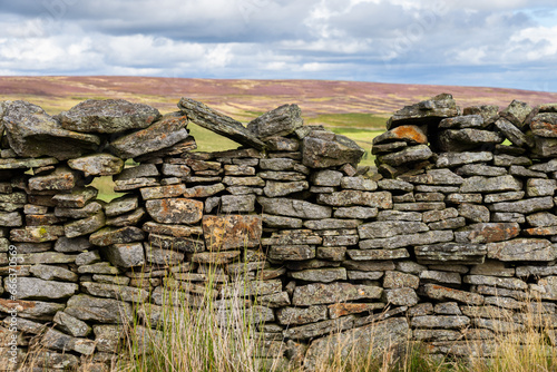 looking out over walled pastures and heather moors, in the North Pennines Area of Outstanding Natural Beauty (ANOB), near Blanchland, Durham, UK photo