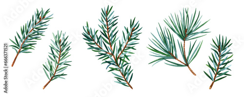 Branches of Christmas tree, set illustration botanical watercolor style. Watercolor illustration for greeting cards, invitations, and other printing projects