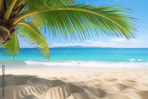 Beach with Palm Tree: Soft Wave of Blue Ocean on Sandy Beach Background - Captivating and Serene Coastal Landscape © Michael