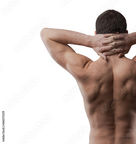 Attractive muscular sensual man posing back view