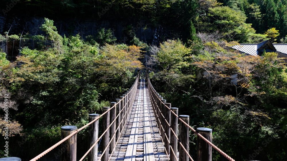 Fototapeta premium 山の吊り橋