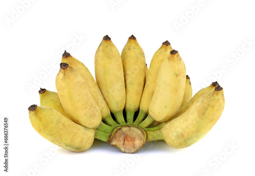Yellow banana (Kluay Namwa) bunch on white background