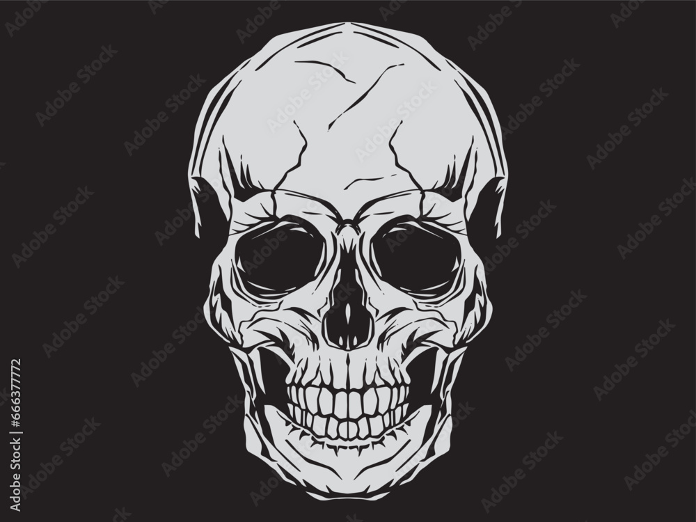Vintage illustration of skull. On black background