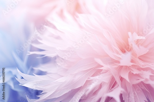 Pastel Color Wallpapers: Macro Closeup Images for a Stunning Visual Experience © Michael