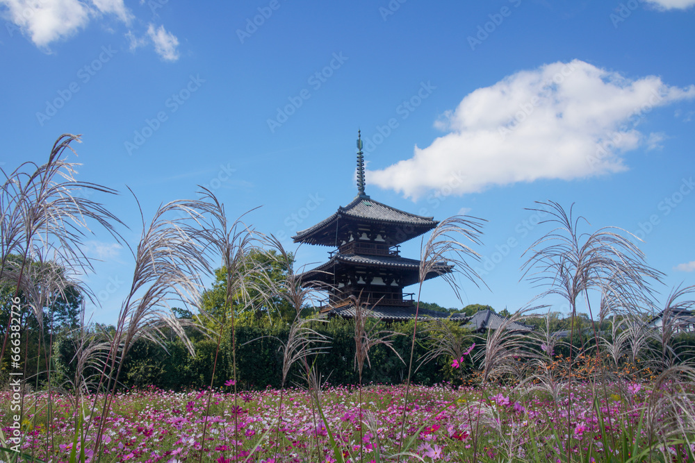三重塔とすすき 三重塔とすすき