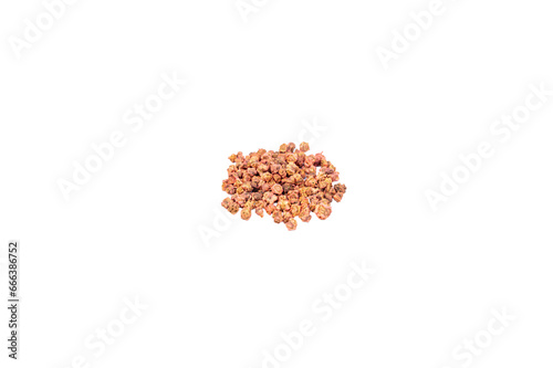Closeup of a dried beet root seeds photo