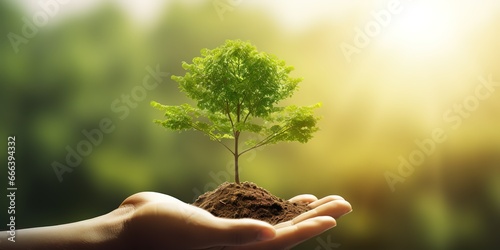 Person's hand holding a tree growing on the ground, including green background, tree planting idea and Earth Day