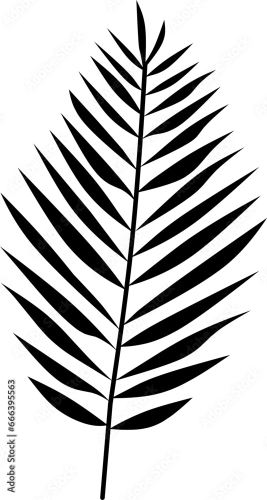 Obraz premium Palm leaves with white background, Vector Illustration