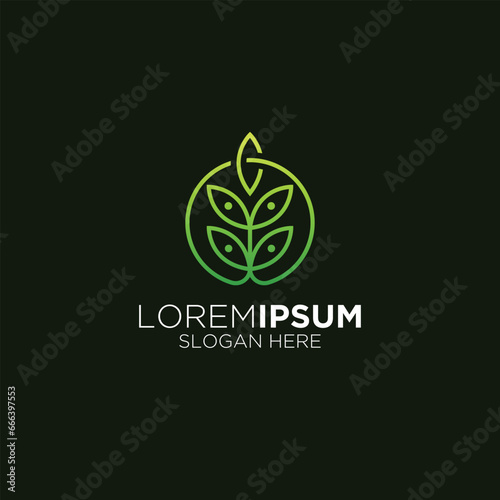 modern leaf logo design