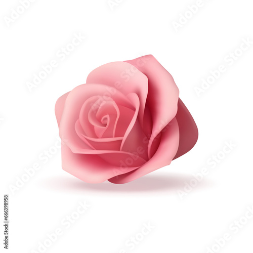 Elegant tender pink natural rose flower bud petal 3d icon realistic vector illustration