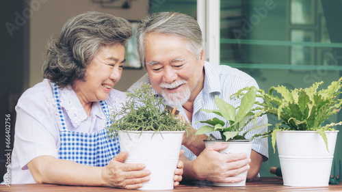 Asian senior couple smile watering plants take care of trees , happy couple gardening - lifestyle senior concept