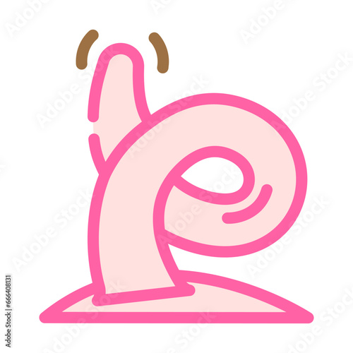 curly tail pig color icon vector. curly tail pig sign. isolated symbol illustration