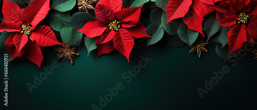 minimalistic background with poinsettia Christmas star, top view with empty copy space