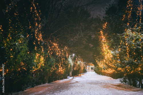 Принти на полотні Winter park at night with christmas decorations, glowing lanterns and trees covered with snow