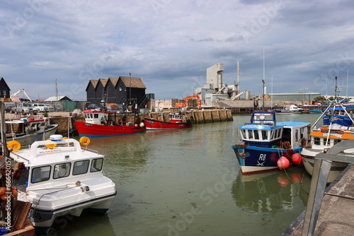 boats in the harbor