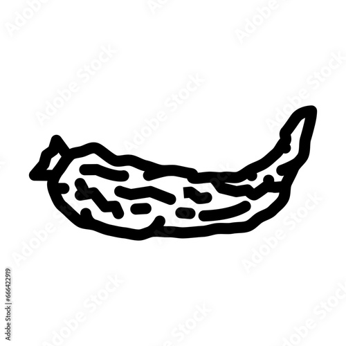 pepper rotten food line icon vector. pepper rotten food sign. isolated contour symbol black illustration