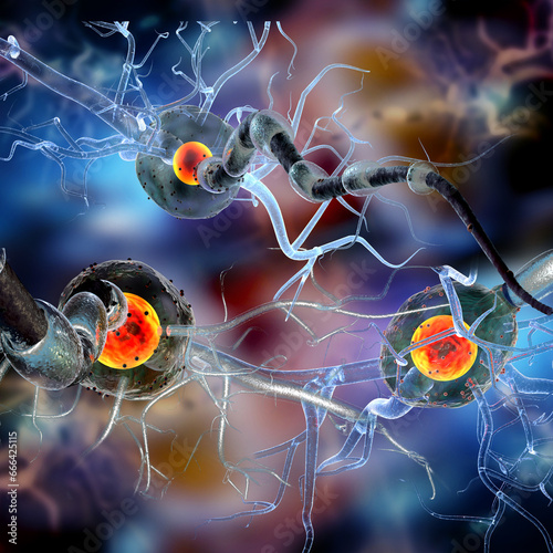 Nerve cells, Neuron, concept for Neurologic Disease, tumors, brain surgery, 