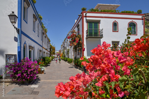 Blumen mit Gasse und Häusern im Ort Puerto de Mogan auf der kanarischen Insel Gran Canaria / Spanien