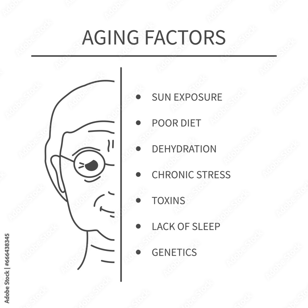 skin-aging-factors-infographics-causes-include-uv-radiation-lack-of