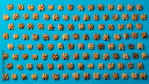 Peeled walnuts on a blue background arranged in a pattern. Advertising concept