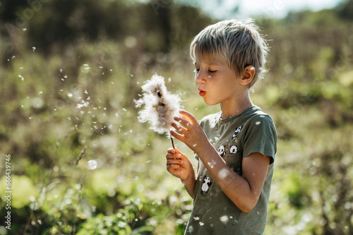 Boy blowing cotton flower in field on sunny day photo
