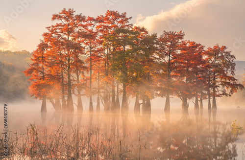 View of beautiful trees in autumn colours and mist along Cupressus Lake, Sukko village, Krasnodar Krai province, Russia. photo