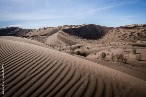 View of sand riffle on sand duunes in the Dasht-e Lut Desert Iran.
